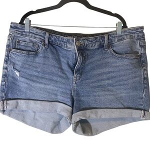 Torrid Women's Light Blue Jean Shorts